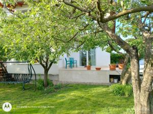 a house with two blue chairs sitting on a patio at Casa Albinelor - Apartament 2-6 persoane in Braşov