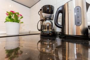 blat kuchenny z ekspresem do kawy i rośliną w obiekcie Luxury Apartments Elizabeth w Biogradzie na Moru