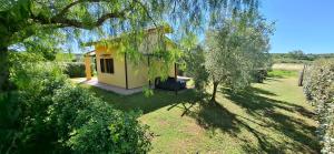 a small yellow house in a field with trees at Villa Oliva in Canino