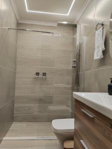 a bathroom with a shower with a toilet and a sink at Calm Horizon Residence in Chios +18 photos