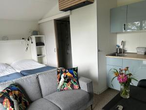 a living room with a couch and a kitchen at Mariafarm Chalets in Zevenbergen