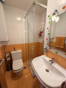 a bathroom with a toilet and a sink and a shower at Apartamento Liencres in Liencres