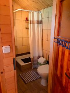 a small bathroom with a toilet and a shower at Noclegi u Lucyny in Chęciny