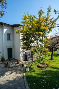 a tree in the yard of a house at La Casetta di Renzo e Lucia in Olginate