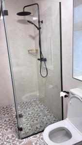 a bathroom with a shower and a toilet at Patricks Thatch Cottage in Oranmore