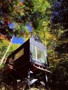 a tree house in the middle of a forest at TinyHouse - Touski in Val-des-Lacs