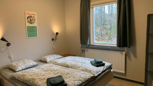 a bedroom with two beds and a window at Boafall Lodge in Jämshög