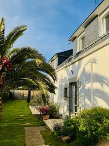 a white house with a palm tree next to a yard at Entre Terre & Sel in Clohars-Carnoët
