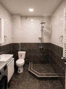 a bathroom with a shower and a toilet and a sink at Thela Apartment in Telavi