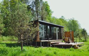 a cabin in the middle of a field with trees at PARO cabin in Ignalina