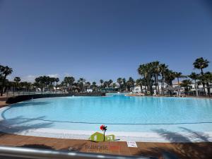 a large swimming pool with a palm tree in it at Casa Dudu in Corralejo