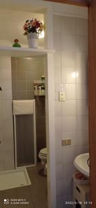 a bathroom with a toilet and a sink at IL BALCONE SUL LAGO in Magreglio +48 photos
