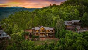 an aerial view of a house in the woods at Sky's the Limit in Mineral Bluff
