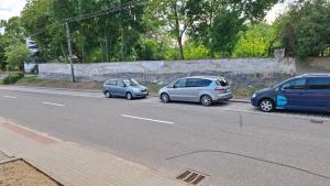 three cars parked on the side of a road at Ubytování U Včelek in Horní Dubňany