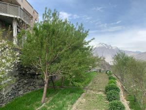 a tree on a hill next to a building at Mariner Lodge Skardu in Skardu