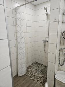 a shower with a glass door in a bathroom at Centro bustas in Kėdainiai +53 photos
