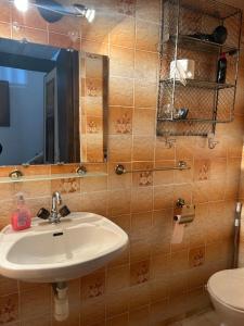 a bathroom with a sink and a mirror and a toilet at La Gran Vigne in Salernes +33 photos