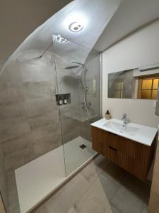 a bathroom with a shower and a sink at Charmant studio en Auvergne in Orcines