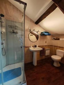 a bathroom with a shower and a sink and a toilet at Gite du Paradis in Vieuzos +54 photos