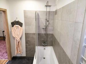 a bath tub in a bathroom with a shower at Apartment v podzámčí in Františkovy Lázně