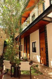 a building with two benches and a tree at Hotel Travertino in Mérida