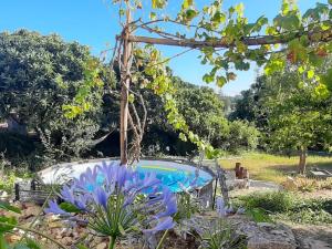 a swimming pool in a garden with purple flowers at Quinta Da Carvalheira Regenerative Coliving in Soure