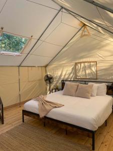 a bedroom in a tent with a bed in it at Seneca Gorge Glamping in Hector
