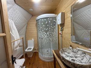 a small bathroom with a shower and a toilet at Trichk Resort in Goris