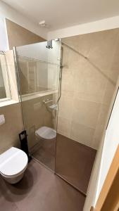 a bathroom with a toilet and a glass shower at Amara in Siegburg