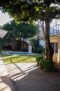 a tree on a sidewalk next to a house at Hotel Ullanka in Encarnación