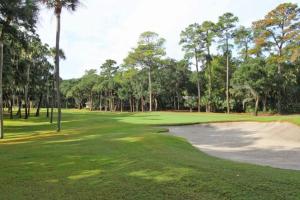 a golf course with palm trees and a sand bunker at 2501 Chateau by the Green in Seabrook Island