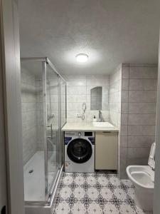 a bathroom with a washing machine and a sink at Green door in Kolomiya +69 photos
