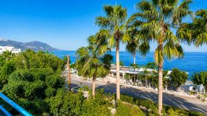 a view of a beach with palm trees and the ocean at Amalia Apartments in Polis Chrysochous