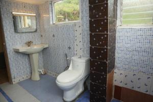 a bathroom with a toilet and a sink at sunshine retreat in Coonoor