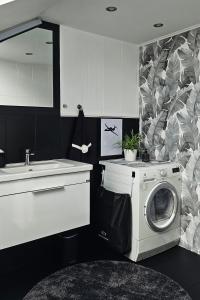 a kitchen with a washing machine and a sink at Apartmán u pilotky in Poděbrady