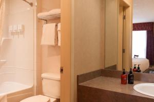 a bathroom with a sink and a toilet and a shower at Marmot Lodge Jasper in Jasper +16 photos