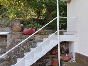 a bunch of pumpkins on the stairs of a house at Mama's home in Arethousa