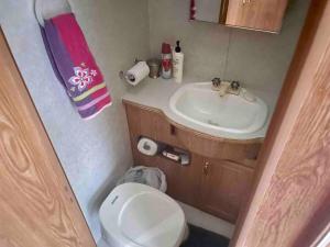 a small bathroom with a toilet and a sink at Sequoia National Forest Glamping in Posey