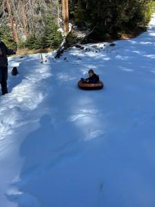 a person riding on a snowboard in the snow at Sequoia National Forest Glamping in Posey