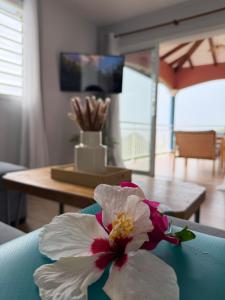 a flower sitting on a table in a living room at Résidence Terre et Passion in Ducos