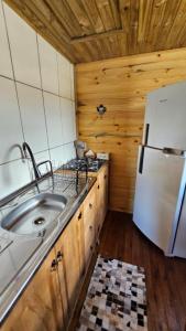a kitchen with a sink and a refrigerator at Cabana Família Lima in Urubici