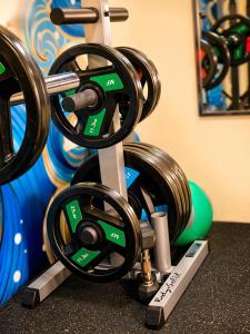 a group of exercise wheels on a machine at Manta Lodge and Dive Centre in Speyside
