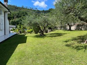 a yard with trees and green grass and a house at Claro de luna in Tovo San Giacomo