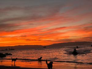 a person and a dog on the beach at sunset at Flamante Atardecer in Paracas