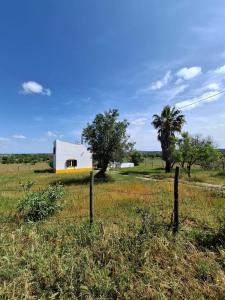 a white and yellow building in a field with trees at Cabana do Compadre in Vila Nova da Baronia
