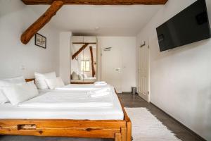 a bedroom with two beds and a flat screen tv at Hotel Bolter Mühle - DZ Rapskammer in Rechlin