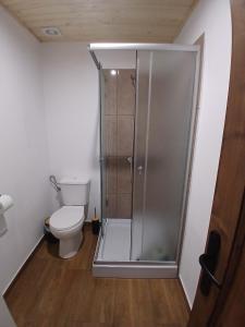 a bathroom with a toilet and a shower stall at Hanul Ibăștean in Brădeţelu +11 photos