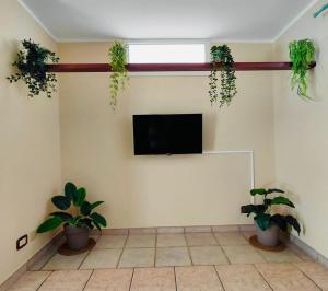 a living room with potted plants and a flat screen tv at PIAZZA COPERTA Casa Vacanza in Aradeo