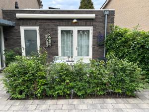 a house with a chair in front of a window at Bed and Breakfast in de buurt in Waalwijk
