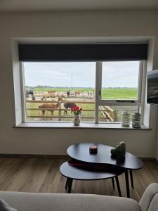 a living room with a large window with cows outside at Alpa Farm Rouveen in Rouveen